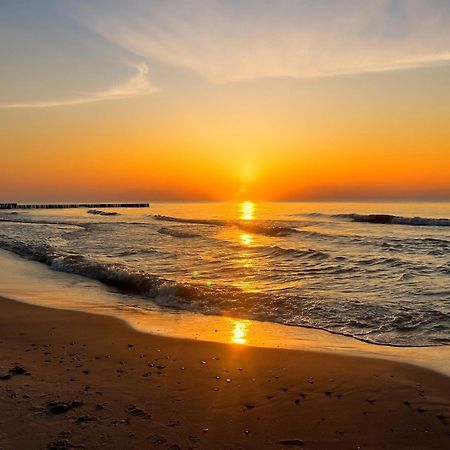 Deluxe Suite, 150 Meters To Beach, Baltic Best Dziwnówek Eksteriør billede